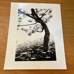 black and white unframed art print